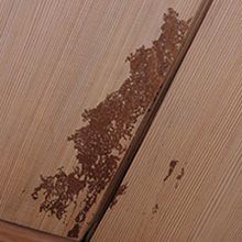 雨漏りの原因に